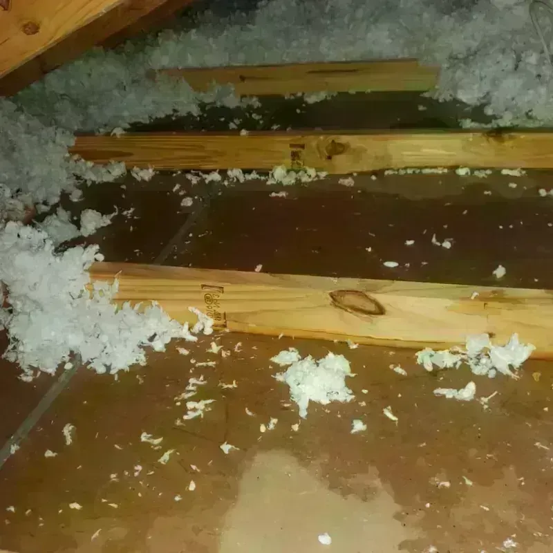 Attic Water Damage in Potter County, PA